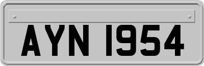AYN1954