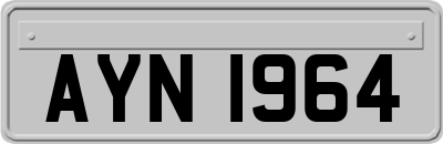 AYN1964