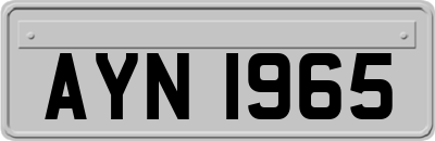AYN1965