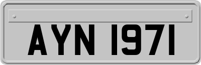 AYN1971