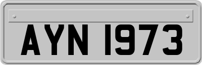AYN1973