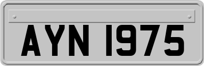 AYN1975