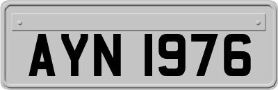 AYN1976