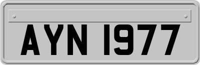 AYN1977
