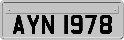 AYN1978