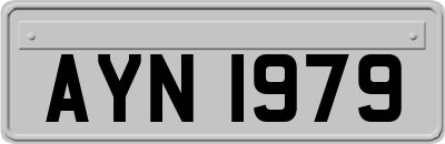 AYN1979