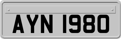 AYN1980