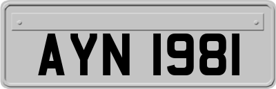 AYN1981
