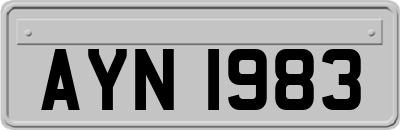 AYN1983