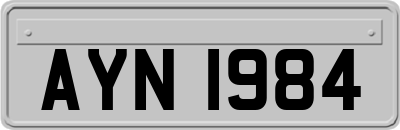 AYN1984