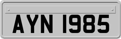 AYN1985