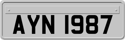 AYN1987