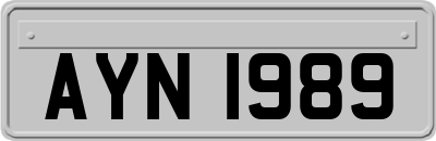 AYN1989