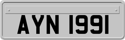 AYN1991