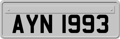 AYN1993