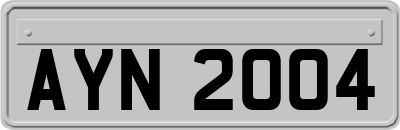 AYN2004