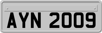 AYN2009