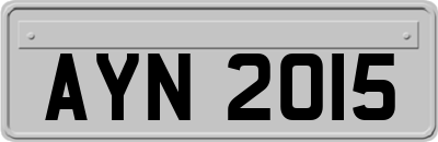 AYN2015