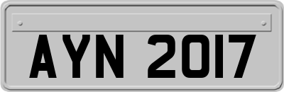 AYN2017