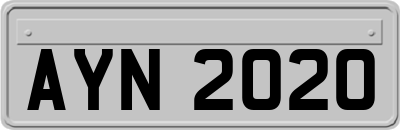 AYN2020