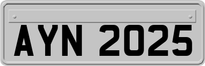 AYN2025