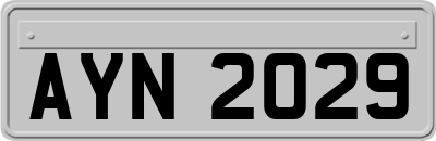 AYN2029