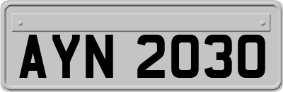 AYN2030