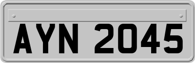 AYN2045