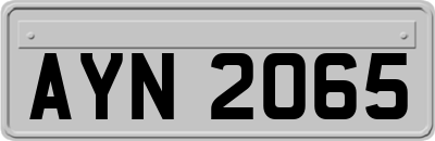 AYN2065