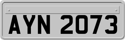 AYN2073