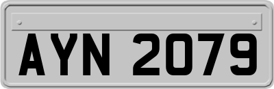 AYN2079