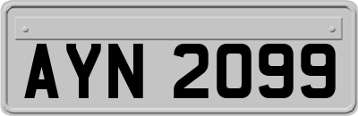 AYN2099