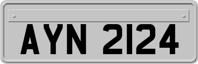 AYN2124