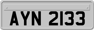 AYN2133