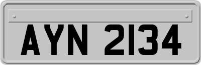 AYN2134