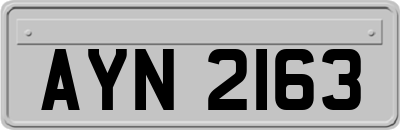 AYN2163