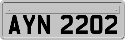 AYN2202
