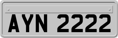 AYN2222