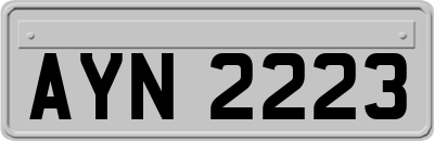 AYN2223