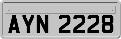 AYN2228