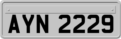 AYN2229