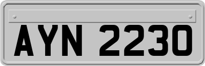 AYN2230