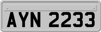 AYN2233