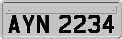 AYN2234