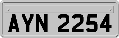 AYN2254