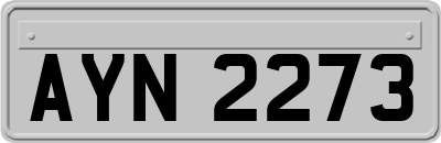 AYN2273