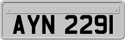 AYN2291