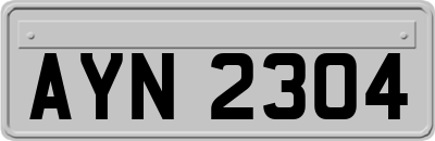 AYN2304