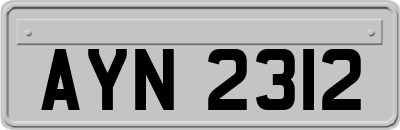 AYN2312