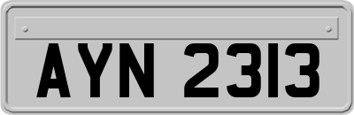 AYN2313